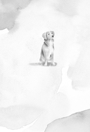 Свадьба в деревушке — фото, картинка — 1