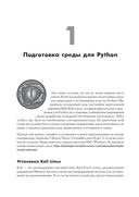 Black Hat Python: программирование для хакеров и пентестеров — фото, картинка — 1