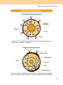 Вселенная в вопросах и ответах — фото, картинка — 18