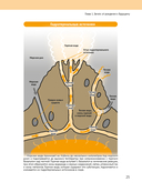 Вселенная в вопросах и ответах — фото, картинка — 22
