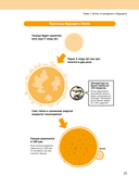 Вселенная в вопросах и ответах — фото, картинка — 26