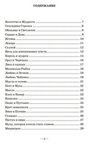 Притчи. Страна желаний — фото, картинка — 2