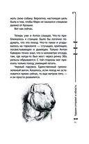 Приключения Уэнсдей в России — фото, картинка — 6