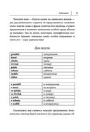 Чешский язык. Новый самоучитель — фото, картинка — 9