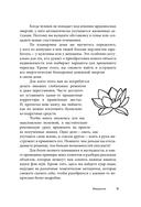 Дом удачи. Гармонизация пространства с помощью фэн-шуй — фото, картинка — 8