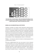 Архетипы. Как понять себя и окружающих — фото, картинка — 12