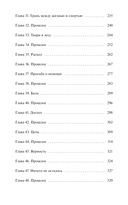 Лайтларк. Ночной палач — фото, картинка — 4