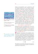 Введение в распределенное моделирование в среде NetLogo — фото, картинка — 19