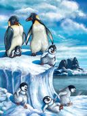 Случай в Пингвинии — фото, картинка — 7