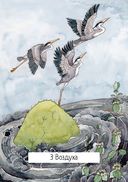 Таро ведьм (78 карт, инструкция) — фото, картинка — 25