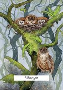 Таро ведьм (78 карт, инструкция) — фото, картинка — 27