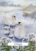 Таро ведьм (78 карт, инструкция) — фото, картинка — 28