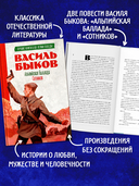 Альпийская баллада. Сотников — фото, картинка — 2