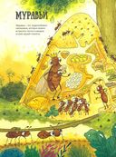 Необычный мир насекомых — фото, картинка — 2