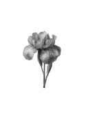 Тихие слова любви — фото, картинка — 1