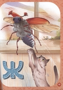 Проактивная азбука для мальчиков в стихах — фото, картинка — 4