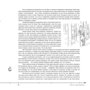 Трансерфинг реальности. Ступени I-V (подарочное издание) — фото, картинка — 6