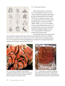 Китайская вышивка от А до Я. Полный практический курс по техникам, приемам и стилям — фото, картинка — 9