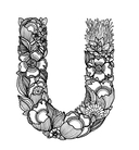 Неотразимые единороги. Раскраска антистресс — фото, картинка — 5